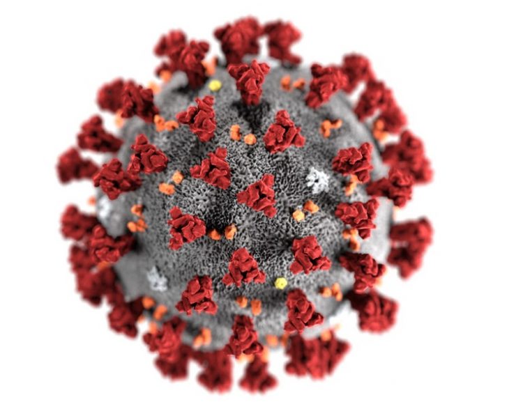 covid virus