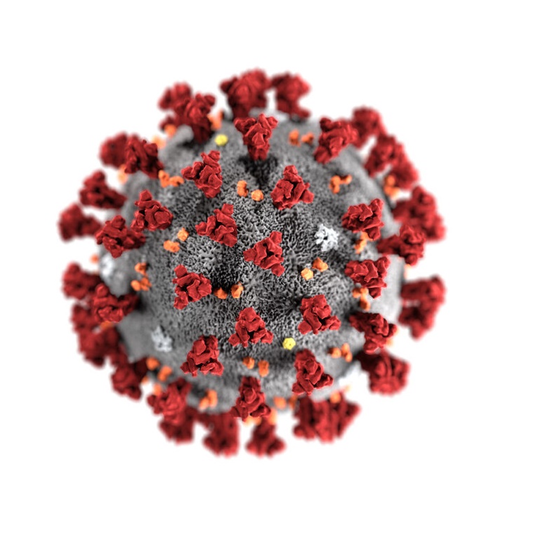 covid virus